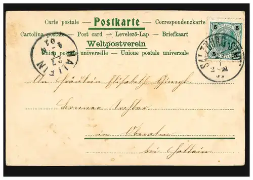 AK Liebespaar, Gedicht Du Ring an meinen Finger .., SALZBURG STADT 27.1.1901 