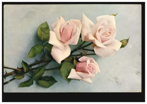 Poste de terrain BS 8. Compagnie de remplacement-infanterie-régiment 28 - 7.7.1917 à Straussberg