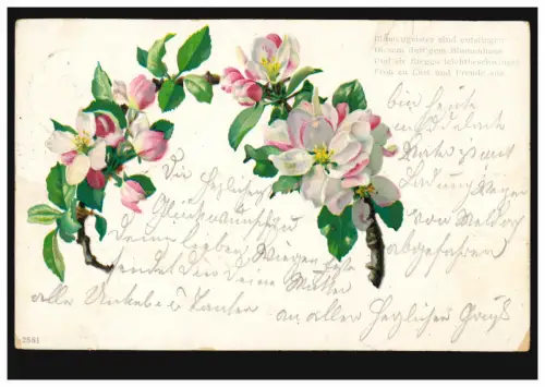 AK Blütenzweige, Gedicht: Blumengeister ..., EDDELAK 1.10.1900