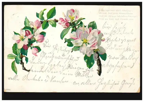 AK Branches de fleurs, poème: Fleuristes ..., EDDELAK 1.10.1900