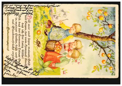 Künstler-Ansichtskarte: Mädchen bei der Apfelernte Pilze Käfer UFFENHEIM 30.4.34