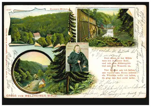 AK Gruss vom Welzheimer Wald mit 4 Bildern, WELZHEIM 19.11.1902 nach WIESBADEN  