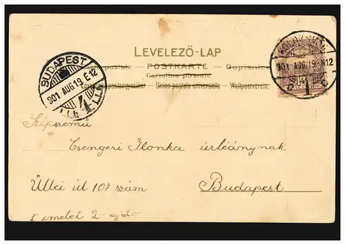 Künstler-AK lächelnde Frau in Blüte, KOLOZVAR 19.8.1901 nach BUDAPEST 19.8.