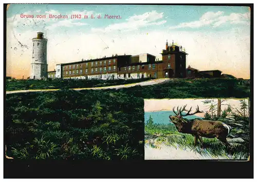 AK Gris du Brocken 1142 sur NN: horloge et cerf, couru 1909