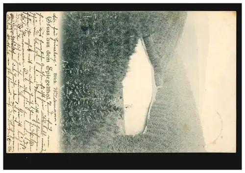AK Gruss du Spiegelthal: Panorama-Blick, WILDEMANN 27.6.1902