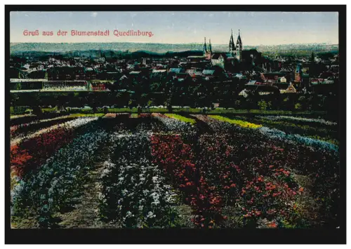 AK Gruss aus der Blumenstadt Quedlinburg, um 1900, ungebraucht