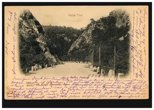 AK Gruss de Suderode: Froide Thal, Gernrode (Harz) 2.8.1898 vers PANKOV 3.8.98
