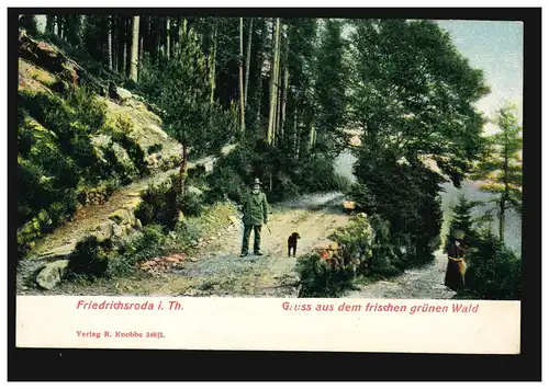 AK Gruss aus dem frischen grünen Wald: Friedrichsroda in Thüringen, 10.6.1906