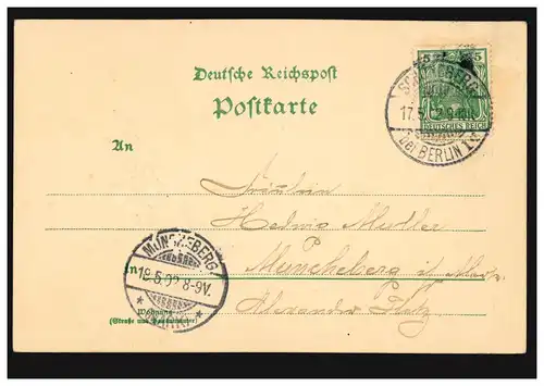 Gruss-AK Pentecôte Blumenstrauss, SCHÖNEBERG bei BERLIN 17.5.1902 n. MÜNCHEBERG