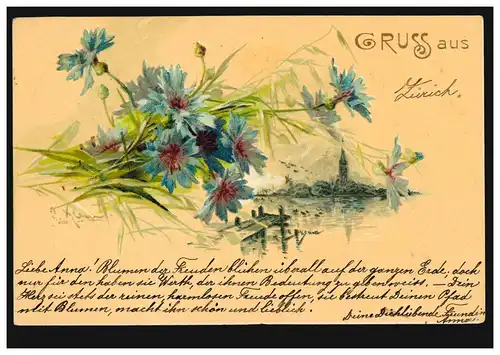 AK Gruse de .... Paysage, ZÜRICH 6.5.1900 comme carte postale locale