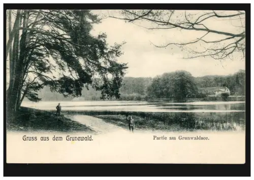 AK Gruss aus dem Grunewald: Partie am Grunewaldsee, ungebraucht