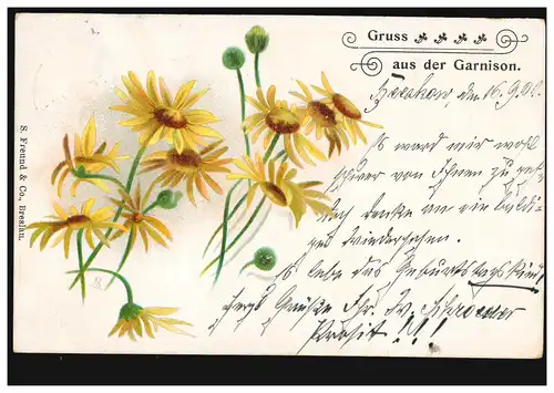 AK Gruss aus der Garnison: Margeriten-Blumen, BEESKOW 16.9.01 n. FRIEDENAU 17.9.