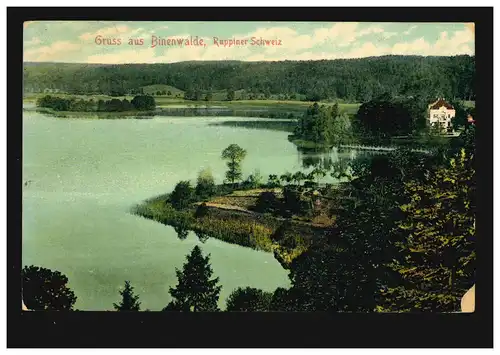 AK Gruss de Binenwalde Ruppiner Suisse: Vue sur le lac, GAVHLEN-GLIENICKE 1909