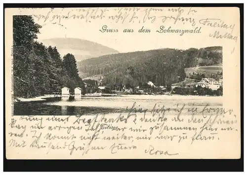 AK Gruss de la Forêt Noire: Titisee, 25.7.1902 vers FREIBURG/BREEISGUA 25.07.02