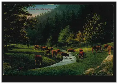 AK Gruss de Thuringe: Paysage avec vaches FINSTERBERGEN (HZGT. GOTHA) 21.5.20