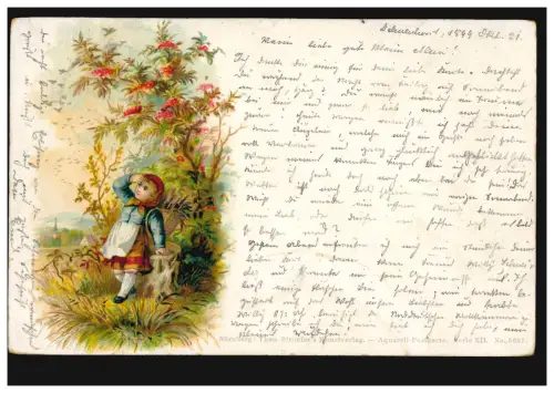 AK Édition Artiste Theodor Stroefer, Nuremberg Fille avec panier, DELMENHORST 1899