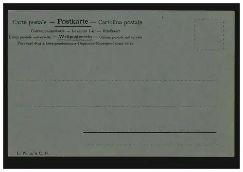 Künstler-AK Verlag L.W.jr & C.H. Landschaftsbild mit Vögeln, ungebraucht