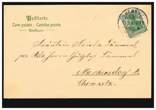 Prägekarte Pfingsten Engel beim Musizieren mit Schwalben, CHEMNITZ 17.5.1902