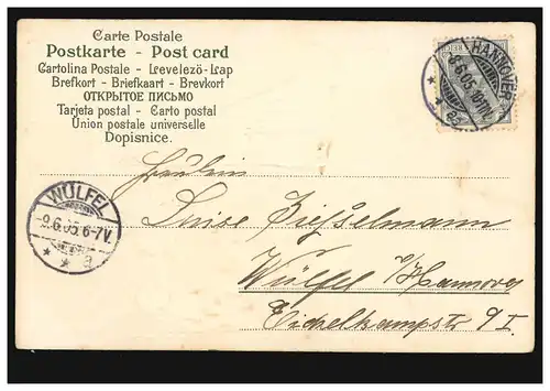 Prägekarte Pfingsten Frau mit Amor im Wald, HANNOVER 8.6.1905 nach WÜLFEL 9.6.05