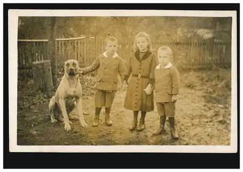 Enfants d'animaux AK: Photo fraternel avec chien, Bavière 23.11.1915