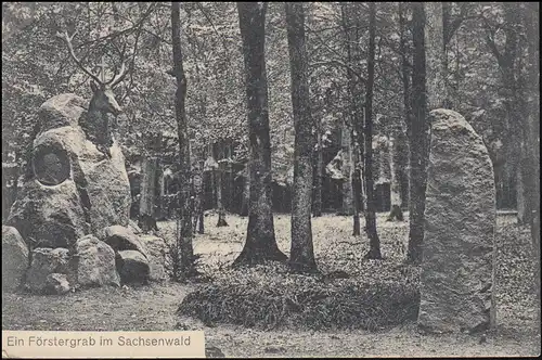 Bahnpost BERLIN-HAMBURG ZUG 209 - 30.7.1931 sur AK Förstergrab dans la forêt de Saxe