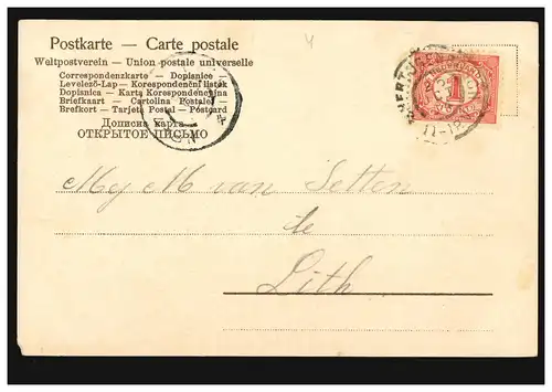 Enfants AK animaux en costumes avec tulipes et chat, Ã©TÉGÉNÉBOCH 1904