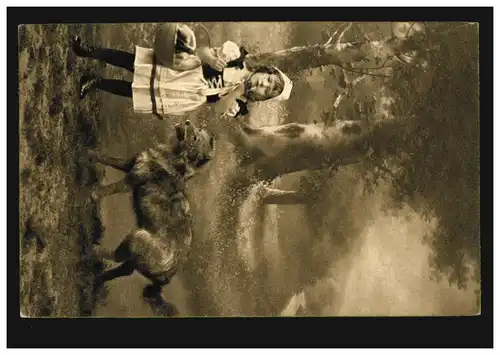 Animaux-AK Marguerites enfants: Le Petit Loup rouge et le loup, BRUXELLES 2.1.1918