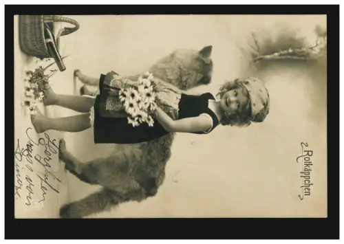 Enfants d'AK animaux: Petits singes rouges et le loup, AMBULANT 18.4.11 selon MURG 18.4.11