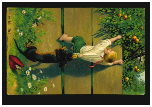 Animaux AK ... si je te dis! Chien empêche les garçons de voler des pommes, Maison du Nord 27.2.13