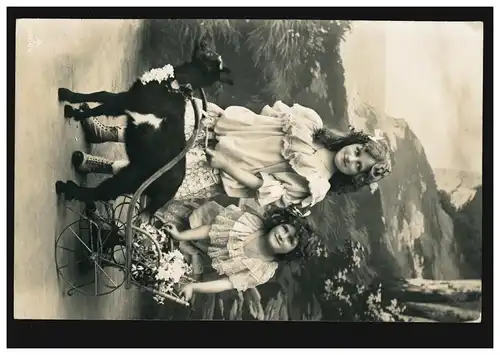 Animaux AK Enfants: chèvre tire char avec des fleurs, RAVENSBURG 13.10.1908