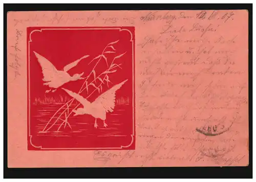 Carte d'artiste AK en rouge: canards en roseau, carte postale locale MUNICH 12.7.1907