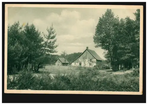 AK Senne-Motiv: Cottes de landes, carte postale de champ SENNELAGER 20.4.1915