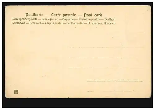 AK Médaillon d'artiste couple d amoureux en édition hiver PP Pittius inutilisé vers 1910