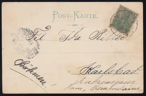 AK Gruss de Heidelberg: Panorama, 29.11.1901 après Karlsbad