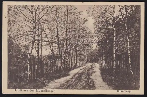 AK Gruss aus den Müggelbergen: Birkenweg, CÖPENICK 19.11.1925