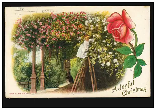 Carte de Noël des États-Unis Roses toute l'année, LOS ANGELES 18.12.1913