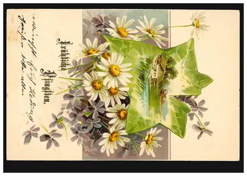 Carte de la Pentecôte Paysage avec des marguerites et des violettes, STRALSUND 1904