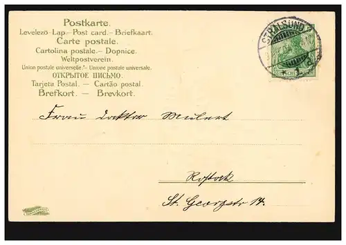 Carte de la Pentecôte Paysage avec des marguerites et des violettes, STRALSUND 1904