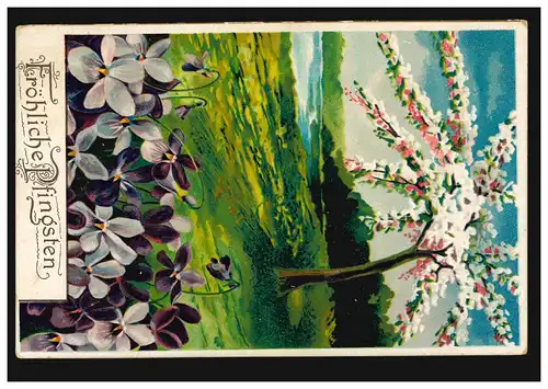Carte de Pâques Paysage Printemps avec violette, HAMM (WESTF.) 3.6.1911