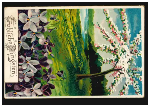 Carte de Pâques Paysage Printemps avec violette, HAMM (WESTF.) 3.6.1911