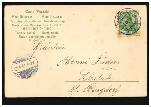 AK Pâques: poussins éclos, HANNOVER 22.4.1905 après BURGDORF (HANNOVER) 23.4.