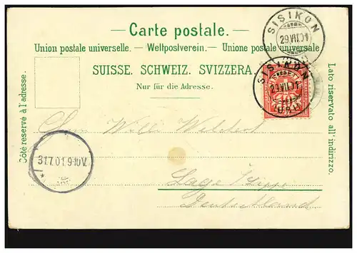 Schweiz-AK Tellsplatte, SISIKON 29.7.1901 nach Lage / Deutschland