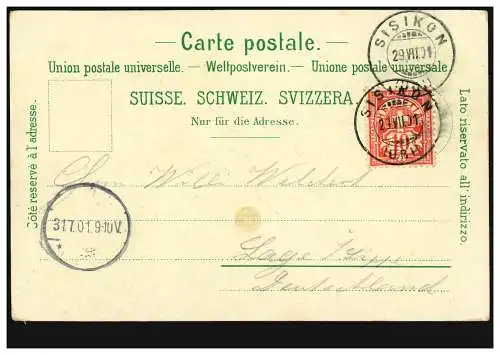 Suisse-AK Tellsplatte, SISIKON 29.7.1901 selon le cas / Allemagne