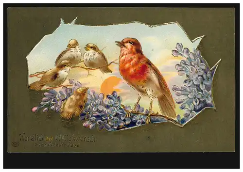 Animaux-AK La mère d'oiseau et ses enfants, carte de pré-gérance BERGISCH-NOUVELLE 1911