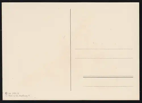 AK de l'humour Qui court a plus de vie! ours en vélo, inutile