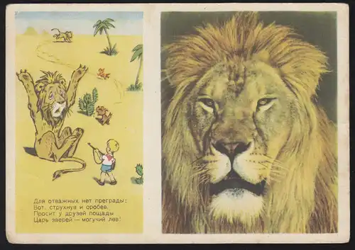 AK de l'humour de Russie: La chasse aux lions, inutilisé, vers 1955