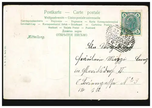 AK Pâques: Lapin de PÂques au chou-fleur, FLORIDSDOEF 22.2.1905