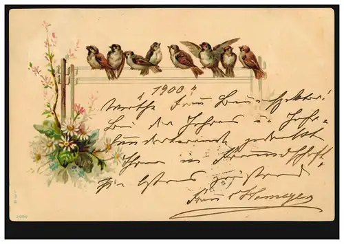 Animaux-A oiseaux: moineaux sur la ligne électrique, TAPLACQUES 30.12.1899 selon TAPIAU