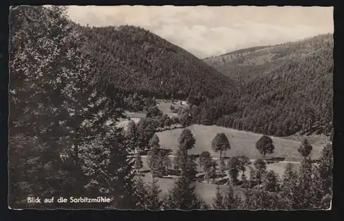 Landpost-Stempel Döschnitz über RUDOLSTADT 5.6.1953 auf AK Salbitzmühle