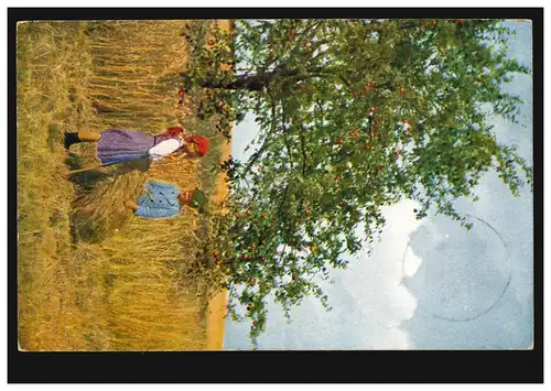 AK Agriculture: Enfants à la récolte des céréales, Weißenberg/Office Löbau 1912